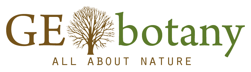 Geobotany – All about nature
